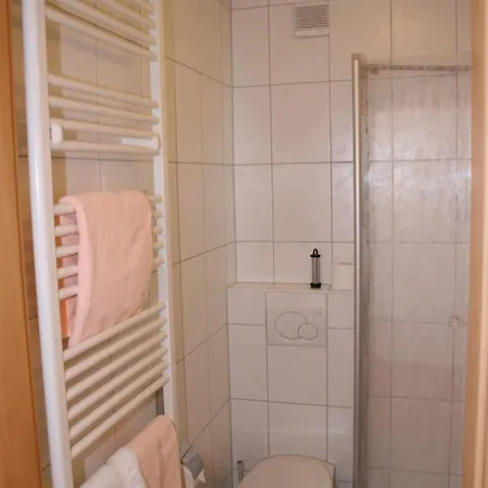 彼得森酒店 3* 巴德茨维什安