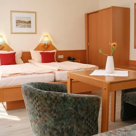 彼得森酒店 酒店 巴德茨维什安